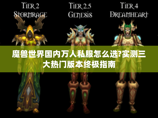 魔兽世界国内万人私服怎么选?实测三大热门版本终极指南