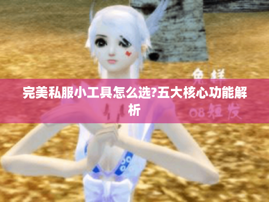 完美私服小工具怎么选?五大核心功能解析