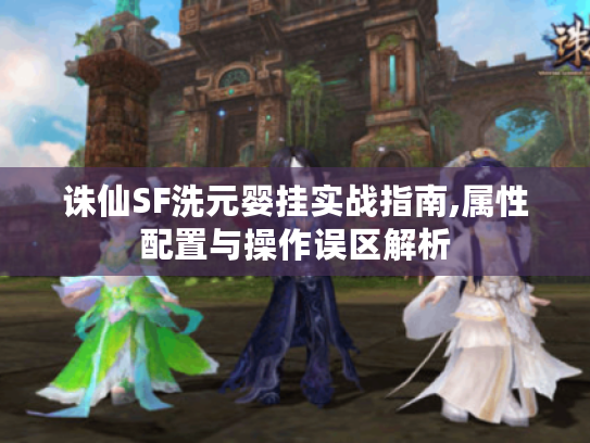 诛仙SF洗元婴挂实战指南,属性配置与操作误区解析