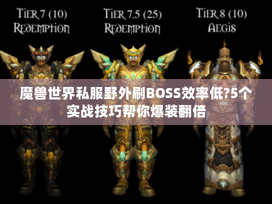 魔兽世界私服野外刷BOSS效率低?5个实战技巧帮你爆装翻倍