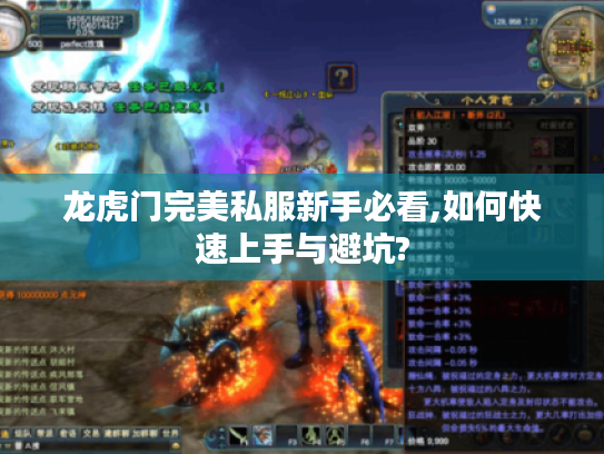 龙虎门完美私服新手必看,如何快速上手与避坑?