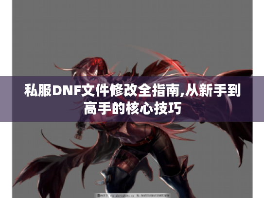 私服DNF文件修改全指南,从新手到高手的核心技巧