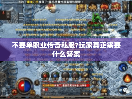 不要单职业传奇私服?玩家真正需要什么答案 不要单职业传奇私服?玩家真正需要什么答案