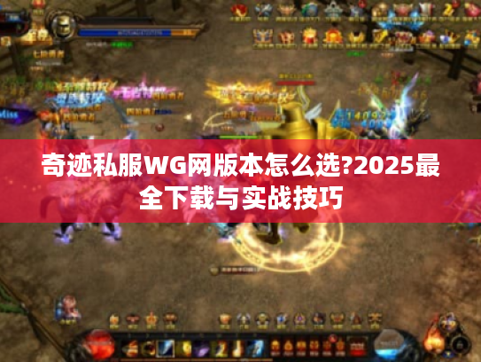奇迹私服WG网版本怎么选?2025最全下载与实战技巧 奇迹私服WG网版本怎么选?2025最全下载与实战技巧