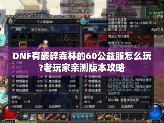 DNF有破碎森林的60公益服怎么玩?老玩家亲测版本攻略