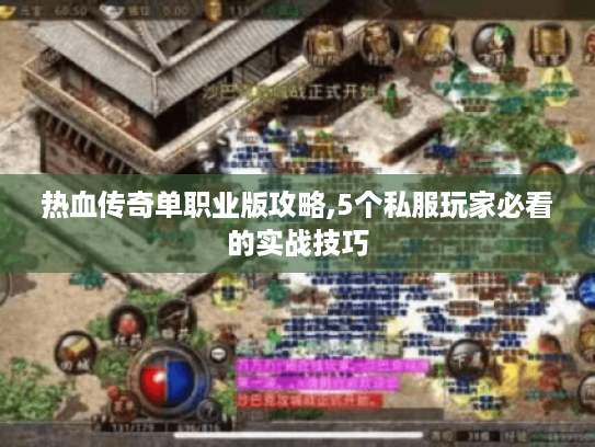 热血传奇单职业版攻略,5个私服玩家必看的实战技巧