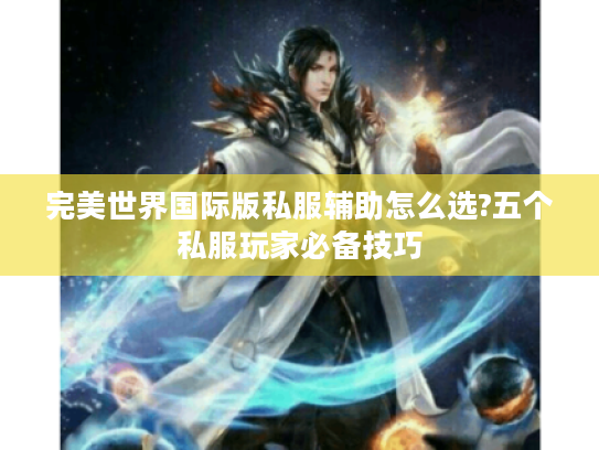完美世界国际版私服辅助怎么选?五个私服玩家必备技巧