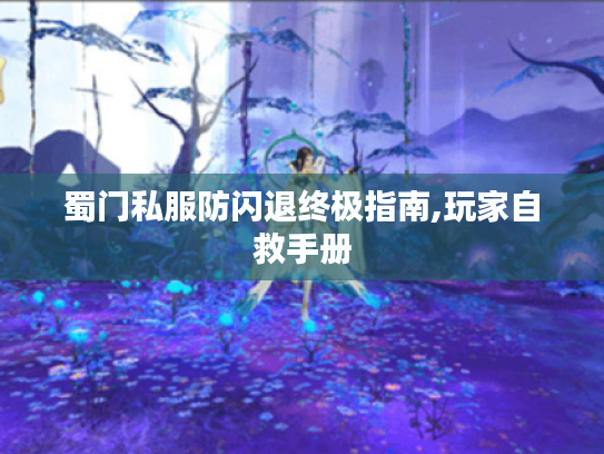 蜀门私服防闪退终极指南,玩家自救手册 蜀门私服防闪退终极指南,玩家自救手册