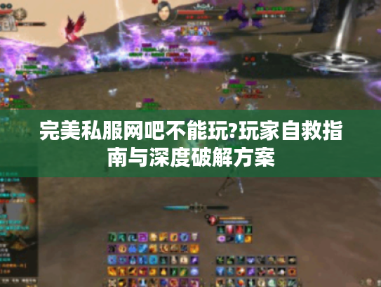 完美私服网吧不能玩?玩家自救指南与深度破解方案