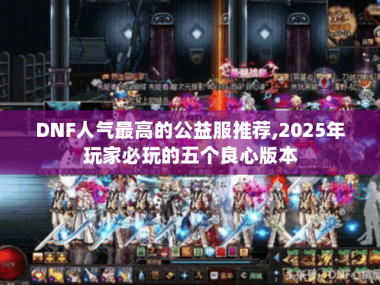 DNF人气最高的公益服推荐,2025年玩家必玩的五个良心版本