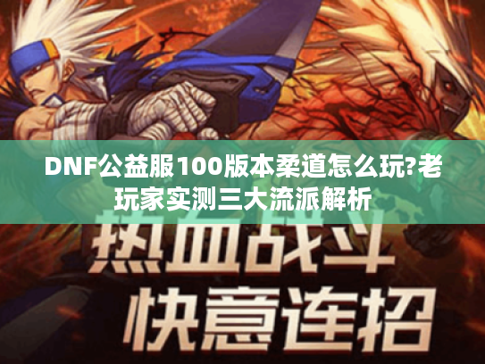DNF公益服100版本柔道怎么玩?老玩家实测三大流派解析