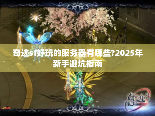 奇迹sf好玩的服务器有哪些?2025年新手避坑指南