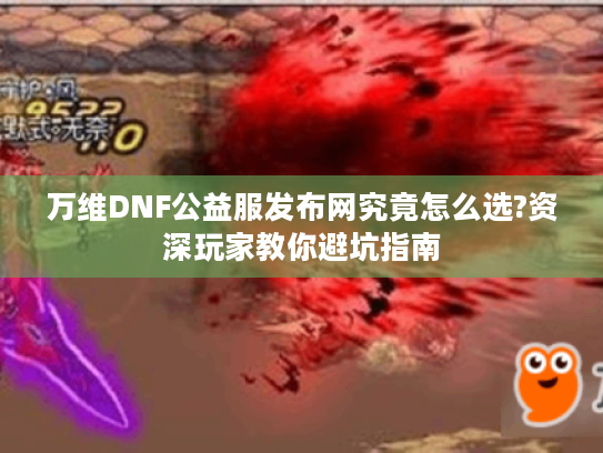 万维DNF公益服发布网究竟怎么选?资深玩家教你避坑指南