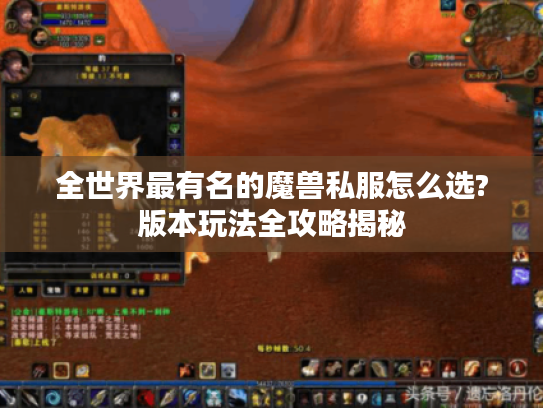 全世界最有名的魔兽私服怎么选?版本玩法全攻略揭秘 全世界最有名的魔兽私服怎么选?版本玩法全攻略揭秘