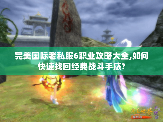 完美国际老私服6职业攻略大全,如何快速找回经典战斗手感?