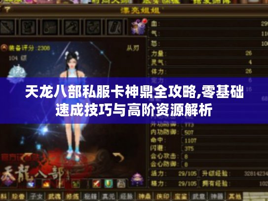 天龙八部私服卡神鼎全攻略,零基础速成技巧与高阶资源解析