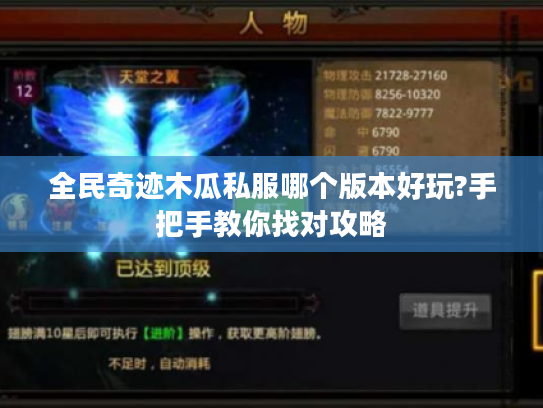 全民奇迹木瓜私服哪个版本好玩?手把手教你找对攻略