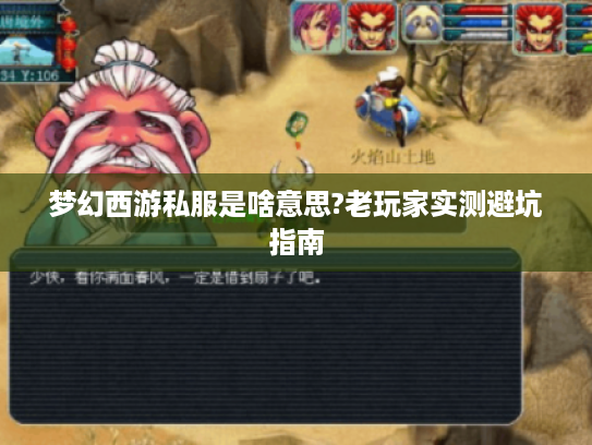 梦幻西游私服是啥意思?老玩家实测避坑指南