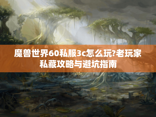 魔兽世界60私服3c怎么玩?老玩家私藏攻略与避坑指南