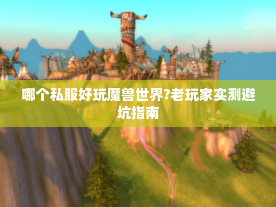 哪个私服好玩魔兽世界?老玩家实测避坑指南