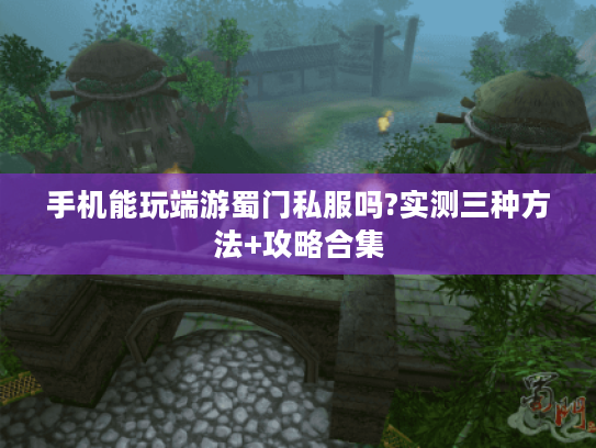 手机能玩端游蜀门私服吗?实测三种方法+攻略合集