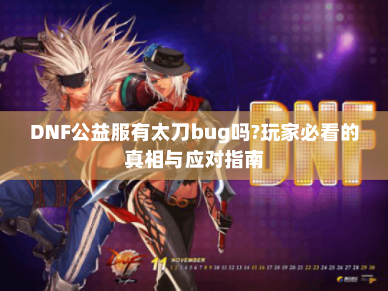 DNF公益服有太刀bug吗?玩家必看的真相与应对指南
