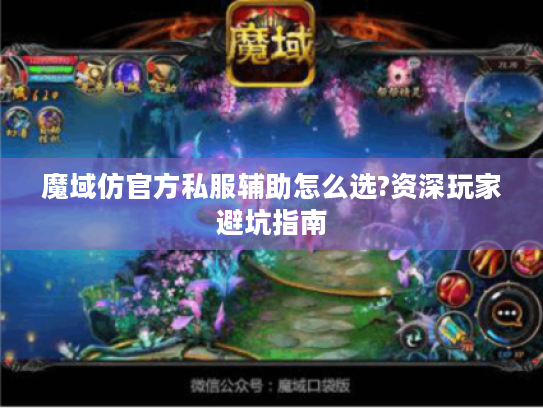 魔域仿官方私服辅助怎么选?资深玩家避坑指南