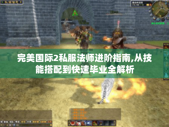 完美国际2私服法师进阶指南,从技能搭配到快速毕业全解析