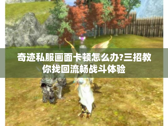 奇迹私服画面卡顿怎么办?三招教你找回流畅战斗体验