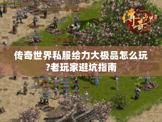 传奇世界私服给力大极品怎么玩?老玩家避坑指南