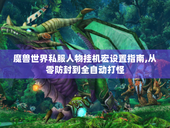 魔兽世界私服人物挂机宏设置指南,从零防封到全自动打怪
