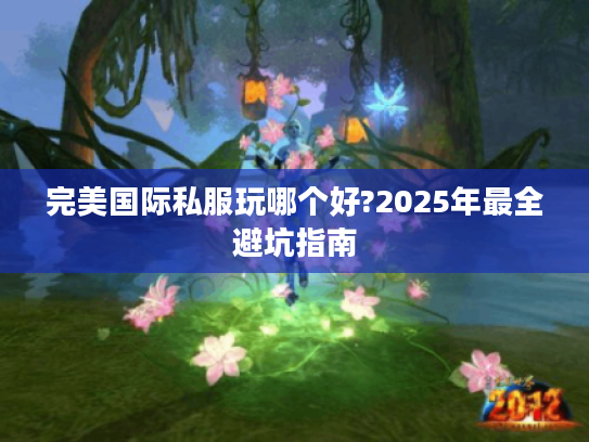 完美国际私服玩哪个好?2025年最全避坑指南