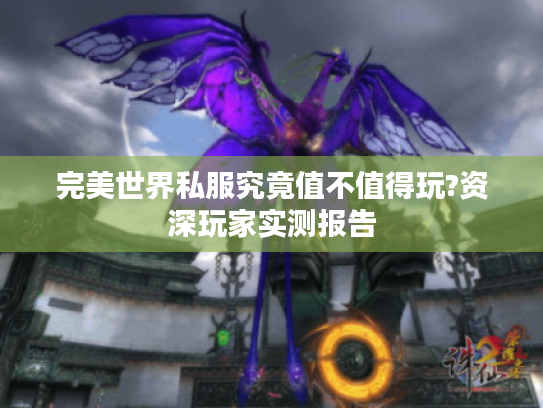 完美世界私服究竟值不值得玩?资深玩家实测报告 完美世界私服究竟值不值得玩?资深玩家实测报告