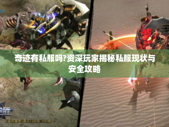 奇迹有私服吗?资深玩家揭秘私服现状与安全攻略