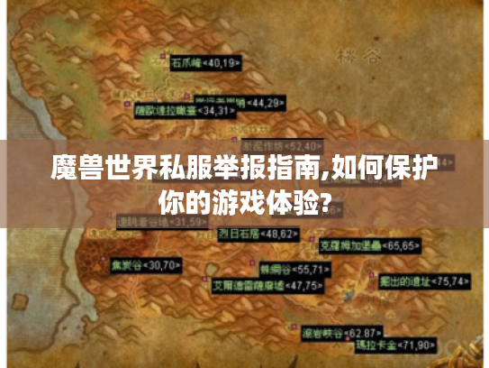 魔兽世界私服举报指南,如何保护你的游戏体验?