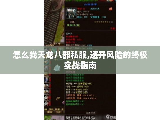 怎么找天龙八部私服,避开风险的终极实战指南