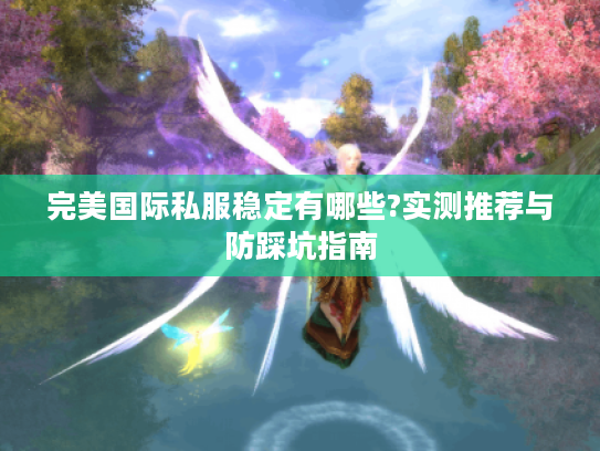 完美国际私服稳定有哪些?实测推荐与防踩坑指南