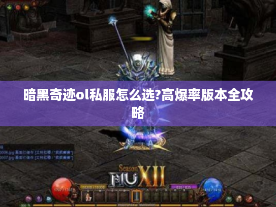 暗黑奇迹ol私服怎么选?高爆率版本全攻略