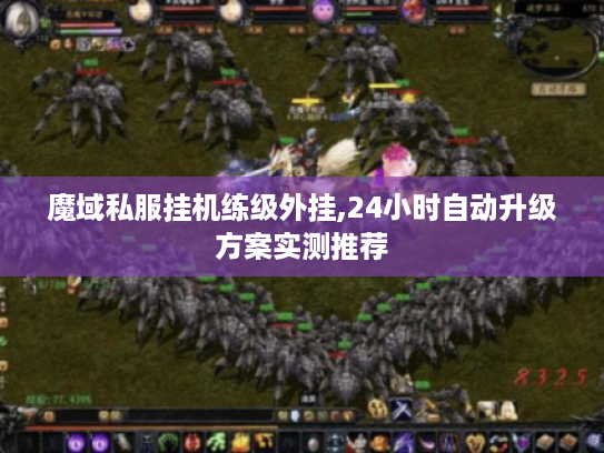 魔域私服挂机练级外挂,24小时自动升级方案实测推荐