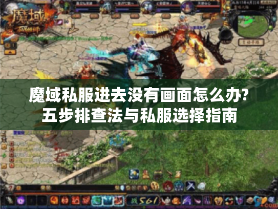 魔域私服进去没有画面怎么办?五步排查法与私服选择指南