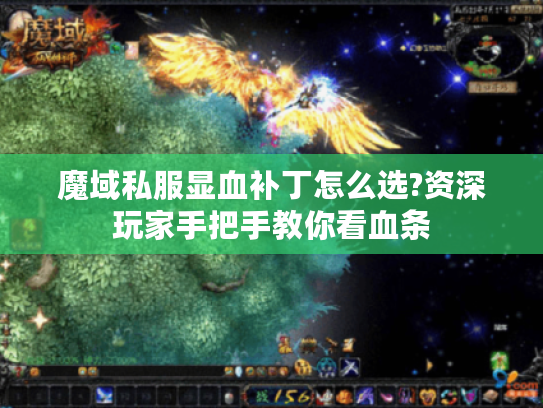 魔域私服显血补丁怎么选?资深玩家手把手教你看血条