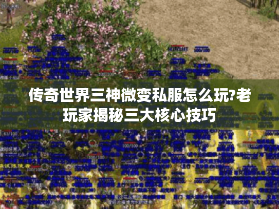 传奇世界三神微变私服怎么玩?老玩家揭秘三大核心技巧