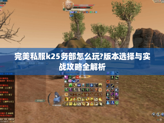 完美私服k25务部怎么玩?版本选择与实战攻略全解析