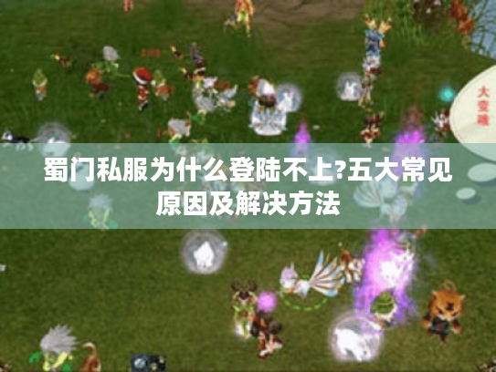蜀门私服为什么登陆不上?五大常见原因及解决方法