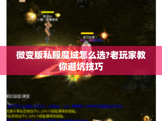微变版私服魔域怎么选?老玩家教你避坑技巧