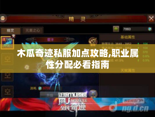 木瓜奇迹私服加点攻略,职业属性分配必看指南