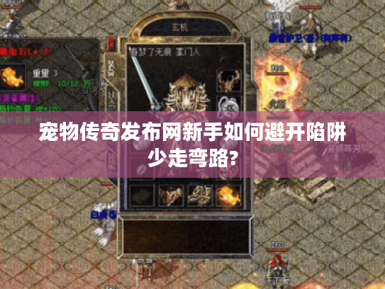 宠物传奇发布网新手如何避开陷阱少走弯路? 宠物传奇发布网新手如何避开陷阱少走弯路?