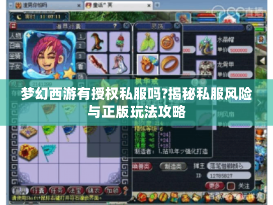 梦幻西游有授权私服吗?揭秘私服风险与正版玩法攻略
