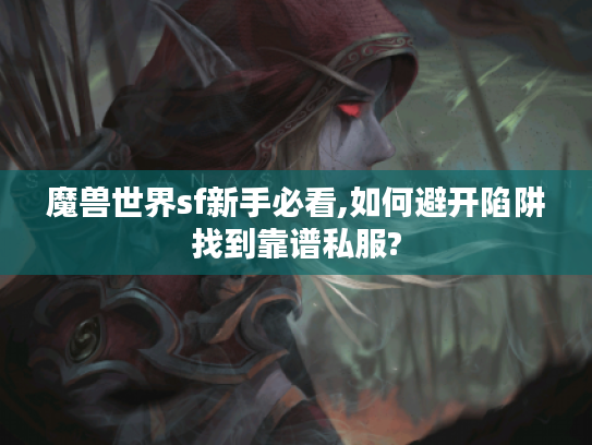 魔兽世界sf新手必看,如何避开陷阱找到靠谱私服?