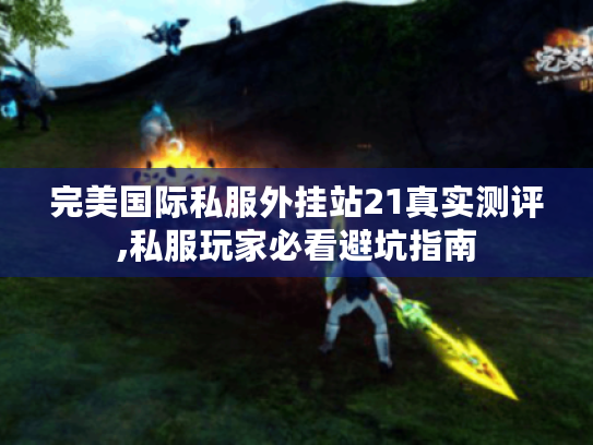 完美国际私服外挂站21真实测评,私服玩家必看避坑指南